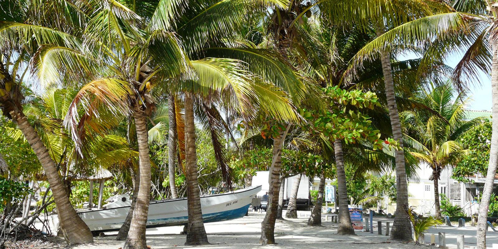 Reisinspiratie voor een all-exclusive vakantie naar San Pedro in Belize