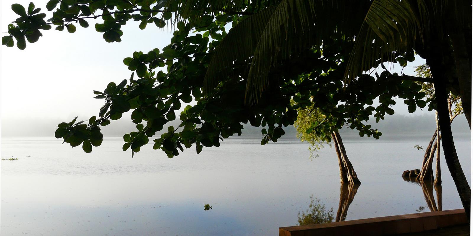 My World is Yours: Reisinspiratie voor jouw all-exclusive vakantie naar Suriname